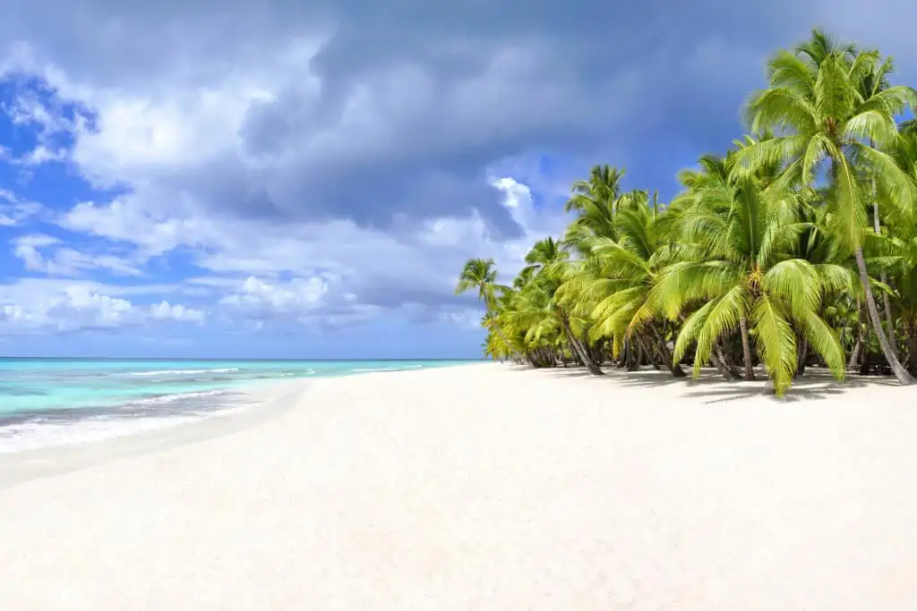 Desert Island Coffees