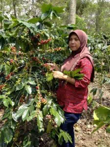 Ibu Rahmah, Chairwoman of Ketiera Cooperative, Indonesia’s only women-led cooperative.